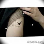 фото тату чайка 06.03.2019 №098 - photo tattoo seagull - tatufoto.com