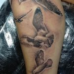 фото тату чайка 06.03.2019 №099 - photo tattoo seagull - tatufoto.com