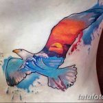 фото тату чайка 06.03.2019 №107 - photo tattoo seagull - tatufoto.com