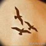 фото тату чайка 06.03.2019 №113 - photo tattoo seagull - tatufoto.com