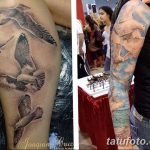 фото тату чайка 06.03.2019 №116 - photo tattoo seagull - tatufoto.com