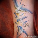 фото тату чайка 06.03.2019 №118 - photo tattoo seagull - tatufoto.com