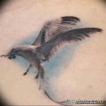 фото тату чайка 06.03.2019 №122 - photo tattoo seagull - tatufoto.com