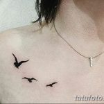 фото тату чайка 06.03.2019 №124 - photo tattoo seagull - tatufoto.com