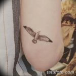 фото тату чайка 06.03.2019 №137 - photo tattoo seagull - tatufoto.com