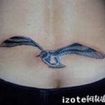 фото тату чайка 06.03.2019 №151 - photo tattoo seagull - tatufoto.com