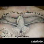 фото тату чайка 06.03.2019 №154 - photo tattoo seagull - tatufoto.com