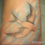 фото тату чайка 06.03.2019 №155 - photo tattoo seagull - tatufoto.com