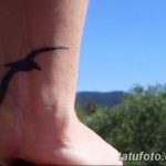 фото тату чайка 06.03.2019 №159 - photo tattoo seagull - tatufoto.com