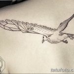 фото тату чайка 06.03.2019 №173 - photo tattoo seagull - tatufoto.com