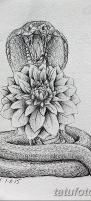 черно белый эскиз тату змея 11.03.2019 №003 — tattoo sketch — tatufoto.com