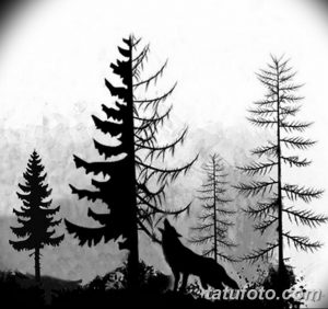 Черно-белое фото тату с изображением волка, стоящего в лесу. Детализированный рисунок татуировки в стиле графика.