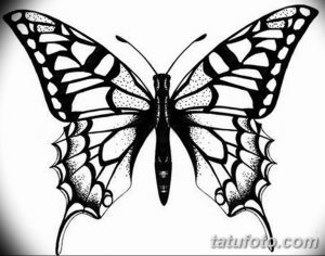 Черно-белое фото тату бабочки, выполненной в технике dotwork. Детализированный рисунок с использованием множества точек.