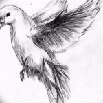 Черно-белый эскиз татуировки летящего голубя с расправленными крыльями. Детализированный рисунок с акцентом на оперение.