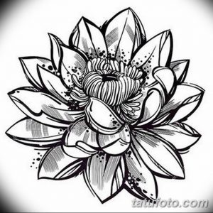 Эскиз татуировки лотоса в стиле blackwork с использованием плотных черных линий и точечной техники. Создает эффектный и графичный образ.