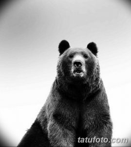 Фото тату медведя в полный рост, выполненное в черно-белых тонах. Реалистичный рисунок татуировки с детальной проработкой шерсти.