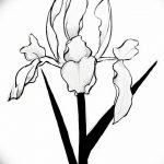 Черно-белый эскиз тату с изображением цветка ириса. Лаконичный рисунок с акцентом на форму лепестков и стебля.