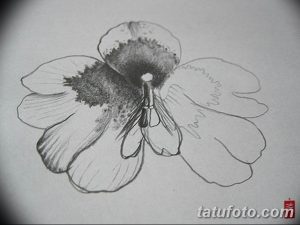 Черно-белый эскиз татуировки цветка с детально прорисованной сердцевиной и нежными лепестками, для женского тела.