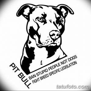 Фото татуировки головы питбуля с надписью "Ban stupid people not dogs fight breed specific legislation". Черно-белый рисунок.