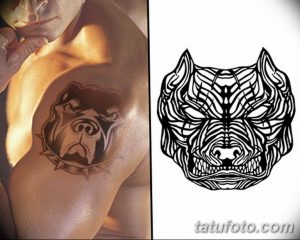 Фотография, демонстрирующая два эскиза тату питбуля: реалистичный рисунок на теле и графический эскиз. Черно-серые тона, детализированная проработка.