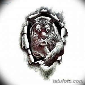 Фото реалистичного тату тигра, словно вырывающегося из разорванной кожи, с детальной проработкой шерсти и текстуры.