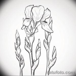 Черно-белый эскиз татуировки ириса с тонкими линиями и детальной проработкой лепестков. Идеально для любителей цветочных тату и минимализма.