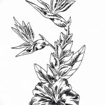черно белый эскиз тату рисункок цветочный 11.03.2019 №016 - tattoo sketch - tatufoto.com