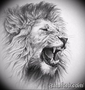 Фотография черно-серой татуировки рычащего льва. Детализированная проработка морды и зубов передает ярость и мощь животного.
