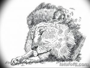 Черно-белый эскиз татуировки льва, выполненный с использованием детальной штриховки. Рисунок демонстрирует реалистичное изображение головы и гривы.
