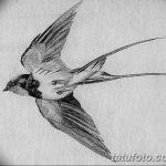 черно белый эскиз тату с ласточкой 11.03.2019 №049 - tattoo sketch - tatufoto.com