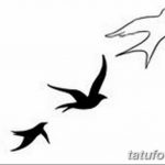 черно белый эскиз тату с птицей 09.03.2019 №006 - tattoo sketch - tatufoto.com
