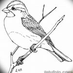 Черно-белый эскиз тату птицы, сидящей на ветке дерева. Детализированный рисунок с проработкой перьев и веток.