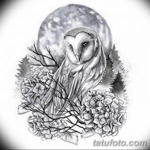 Черно-белый эскиз татуировки совы, сидящей на ветке под полной луной. Атмосферный и загадочный рисунок.