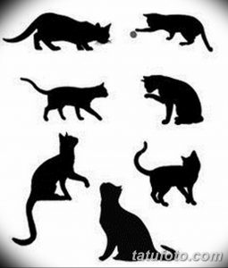 Фото подборки минималистичных эскизов татуировок с изображением силуэтов кошек в разных позах. Идеально для любителей лаконичных и стильных татуировок.