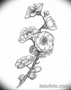 Детализированный черно-серый эскиз татуировки ветки сакуры с множеством распустившихся цветов. Идеально подходит для женской татуировки.