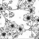 черно белый эскиз тату сакура 09.03.2019 №036 - tattoo sketch - tatufoto.com
