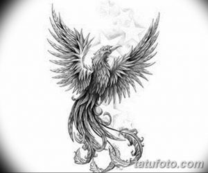 Черно-белый эскиз татуировки феникса с акцентом на детализацию перьев и изящные линии, изображен на светлом фоне.