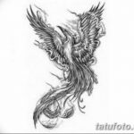 черно белый эскиз тату феникс 09.03.2019 №065 - tattoo sketch - tatufoto.com
