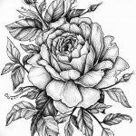 эскиз розы для тату девушке 08.03.2019 №002 - tattoo sketches - tatufoto.com