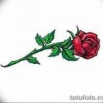 эскиз розы для тату девушке 08.03.2019 №007 - tattoo sketches - tatufoto.com