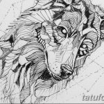 Эскиз татуировки с изображением головы волка, выполненный в технике line work (линейной графики). Рисунок отличается динамичностью и выразительностью.