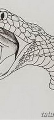 эскиз тату змея на руку — 08.03.2019 — tatufoto.com ё13