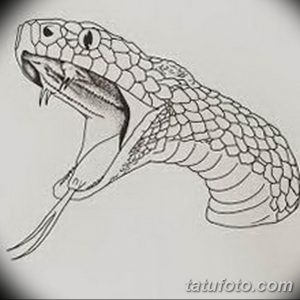 Черно-белый эскиз татуировки с изображением змеи с раскрытой пастью, демонстрирующей зубы. Выражает силу, опасность и защиту.