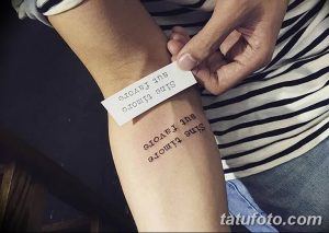 Фото татуировки с латинской фразой 'Sine timore aut favore' на внутренней стороне предплечья.