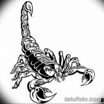 эскиз тату скорпиона для девушек 08.03.2019 №004 - tattoo sketches - tatufoto.com