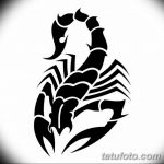 эскиз тату скорпиона для девушек 08.03.2019 №005 - tattoo sketches - tatufoto.com