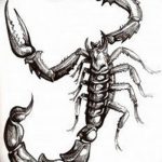 эскиз тату скорпиона для девушек 08.03.2019 №006 - tattoo sketches - tatufoto.com