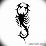 эскиз тату скорпиона для девушек 08.03.2019 №012 - tattoo sketches - tatufoto.com