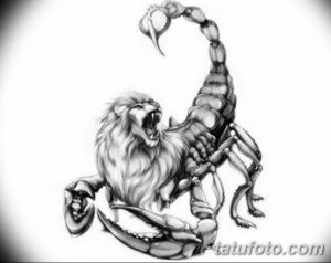 эскиз тату скорпиона для девушек 08.03.2019 №014 - tattoo sketches - tatufoto.com