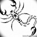 эскиз тату скорпиона для девушек 08.03.2019 №017 - tattoo sketches - tatufoto.com